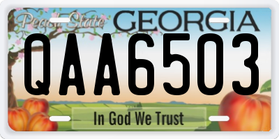GA license plate QAA6503