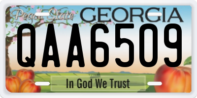 GA license plate QAA6509