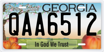 GA license plate QAA6512