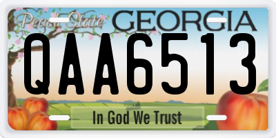 GA license plate QAA6513