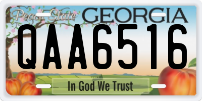 GA license plate QAA6516