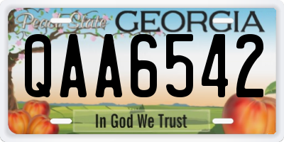 GA license plate QAA6542