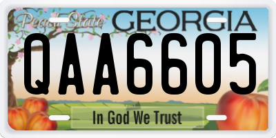 GA license plate QAA6605