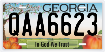 GA license plate QAA6623