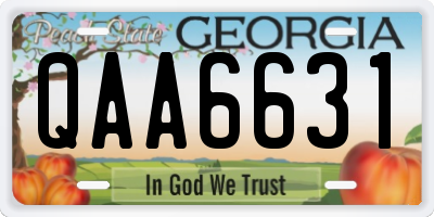GA license plate QAA6631
