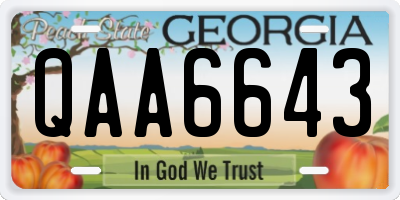 GA license plate QAA6643