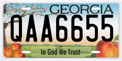 GA license plate QAA6655