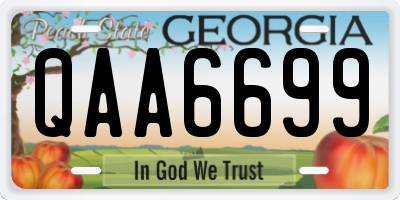 GA license plate QAA6699