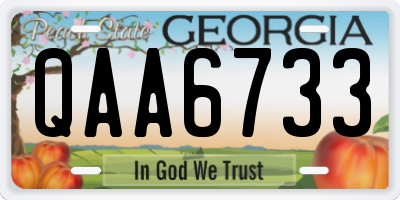 GA license plate QAA6733
