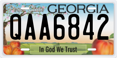 GA license plate QAA6842