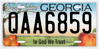 GA license plate QAA6859