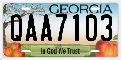 GA license plate QAA7103