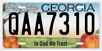 GA license plate QAA7310