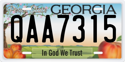 GA license plate QAA7315