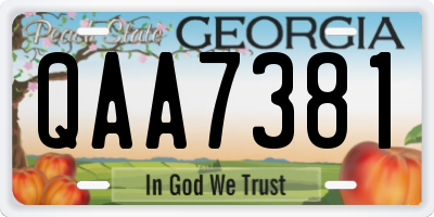GA license plate QAA7381