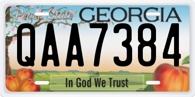 GA license plate QAA7384