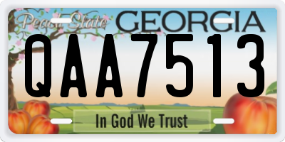 GA license plate QAA7513