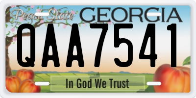 GA license plate QAA7541