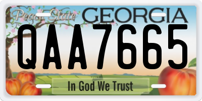 GA license plate QAA7665