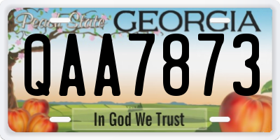 GA license plate QAA7873