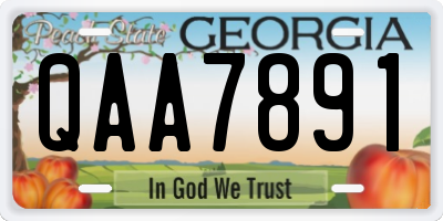 GA license plate QAA7891