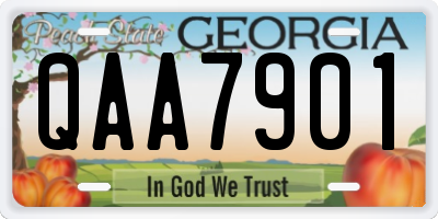 GA license plate QAA7901