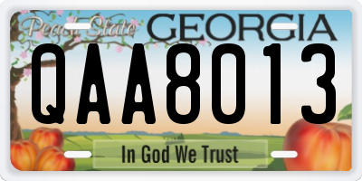 GA license plate QAA8013