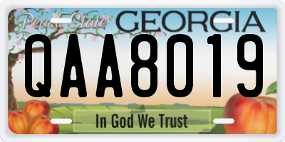 GA license plate QAA8019