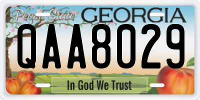 GA license plate QAA8029