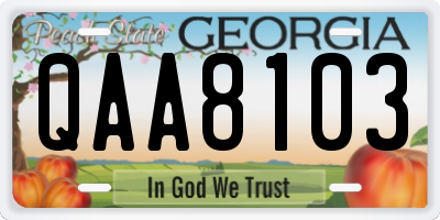GA license plate QAA8103