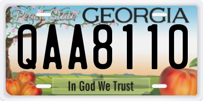 GA license plate QAA8110