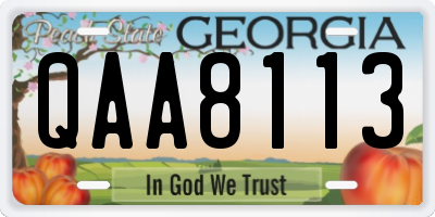 GA license plate QAA8113