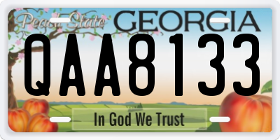 GA license plate QAA8133