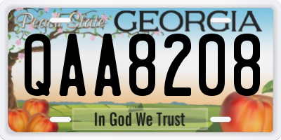GA license plate QAA8208