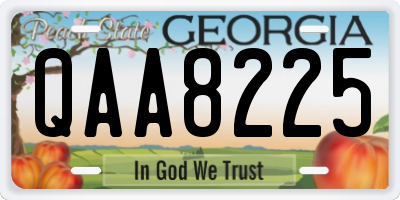 GA license plate QAA8225