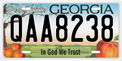 GA license plate QAA8238