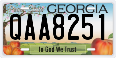 GA license plate QAA8251