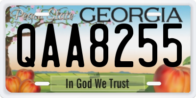 GA license plate QAA8255