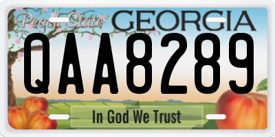 GA license plate QAA8289