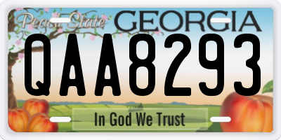 GA license plate QAA8293