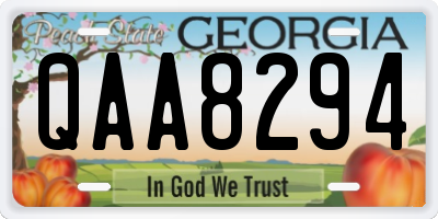 GA license plate QAA8294