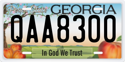 GA license plate QAA8300
