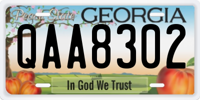 GA license plate QAA8302