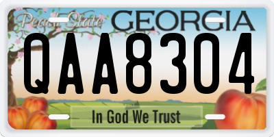 GA license plate QAA8304