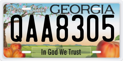 GA license plate QAA8305