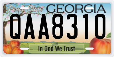 GA license plate QAA8310