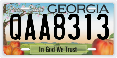 GA license plate QAA8313
