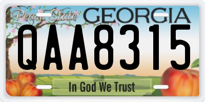 GA license plate QAA8315