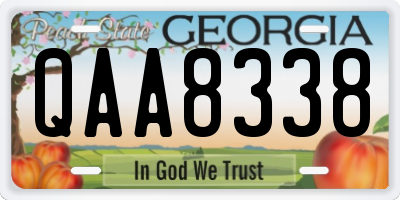 GA license plate QAA8338