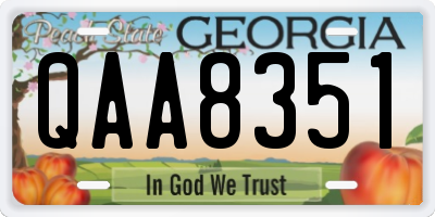 GA license plate QAA8351